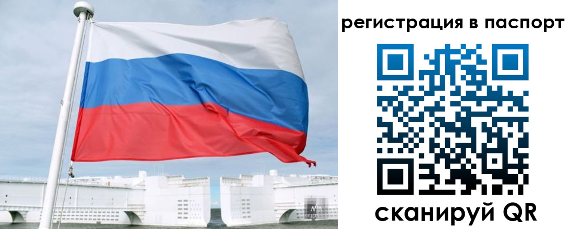 регистрация в Новосибирской области